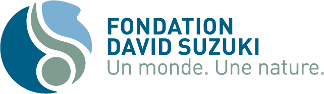Fondation David Suzuki - Un monde, Une nature.