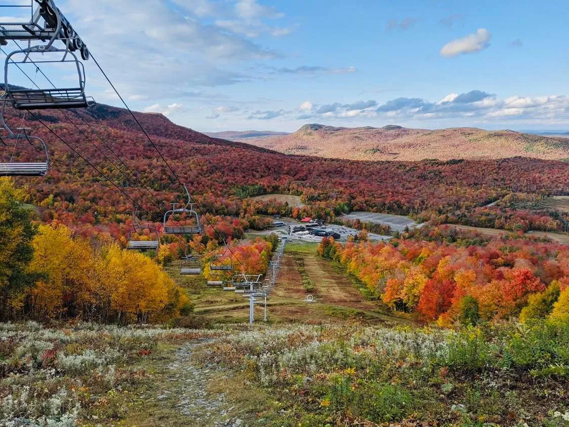 Consultation régionale